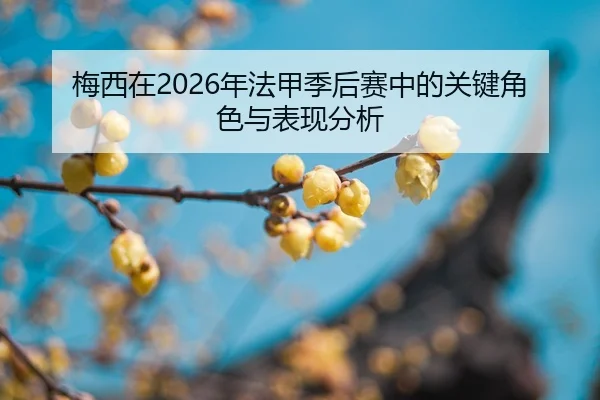 mei-xi-zai-nian-fa-jia-ji-hou-sai-zhong-de-guan-jian-jue-se-yu-biao-xian-fen-xi-2-804.jpg