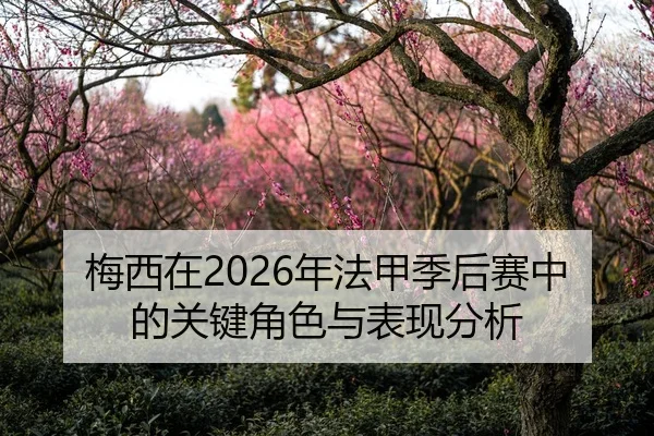 梅西在2026年法甲季后赛中的关键角色与表现分析