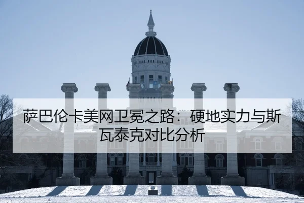 sa-ba-lun-ka-mei-wang-wei-mian-zhi-lu-ying-di-shi-li-yu-si-wa-tai-ke-dui-bi-fen-xi-2-536.jpg