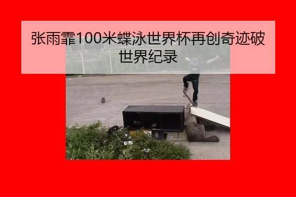 张雨霏100米蝶泳世界杯再创奇迹破世界纪录
