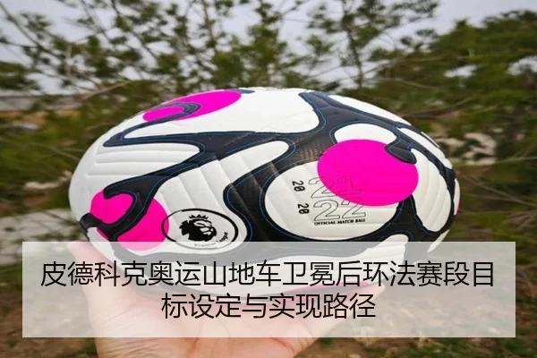 皮德科克奥运山地车卫冕后环法赛段目标设定与实现路径